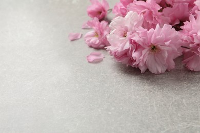 Beautiful sakura tree blossoms on grey stone table, closeup. Space for text