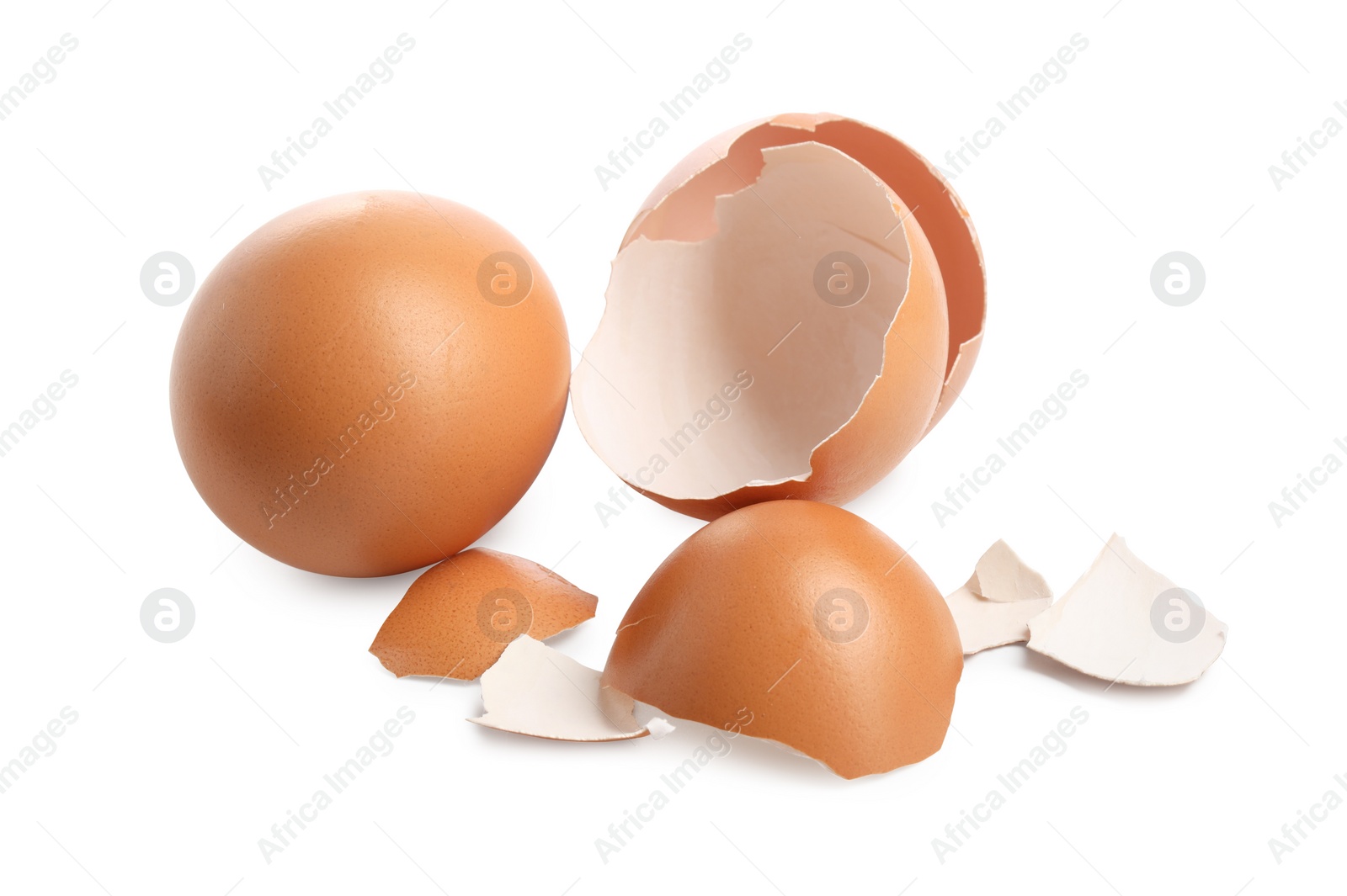 Photo of Chicken egg and pieces of shell isolated on white