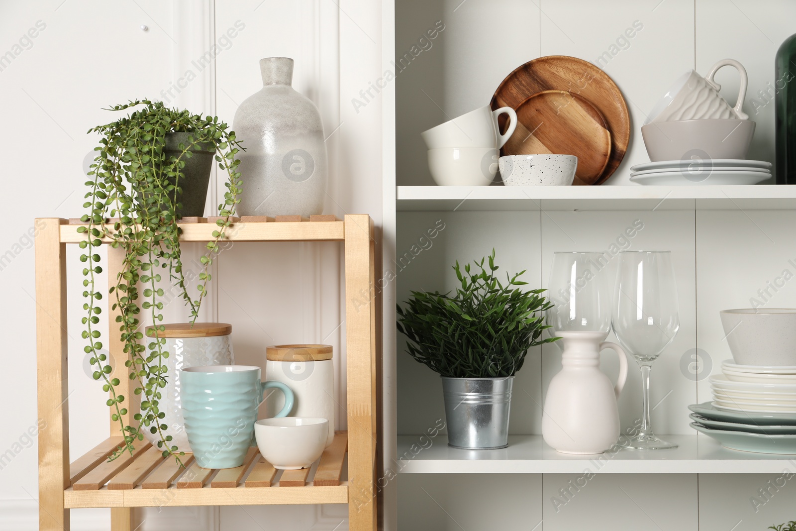 Photo of Different clean dishware and houseplants on shelves in cabinet indoors