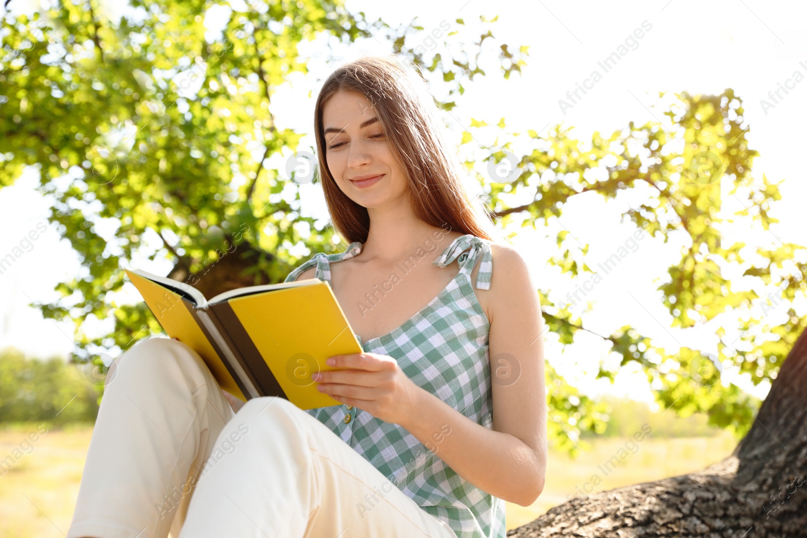 Photo of Young woman reading book on tree in park