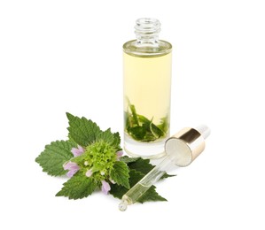 Photo of Glass bottle of nettle oil with dropper and leaves isolated on white