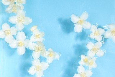 Photo of Beautiful jasmine flowers in water on light blue background, top view