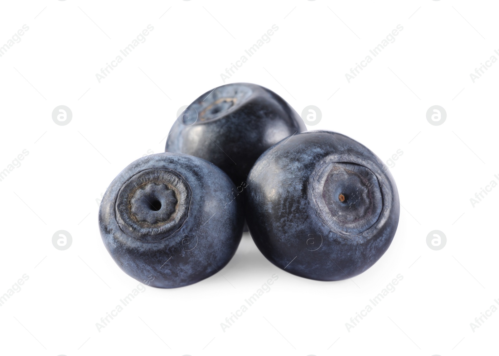 Photo of Delicious ripe bilberries isolated on white. Seasonal berries