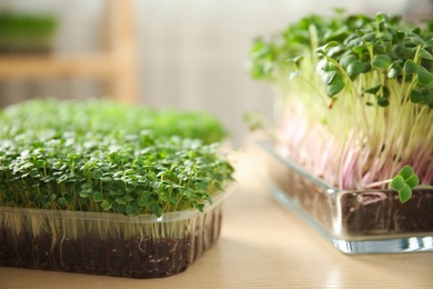 Fresh organic microgreens on wooden table, closeup