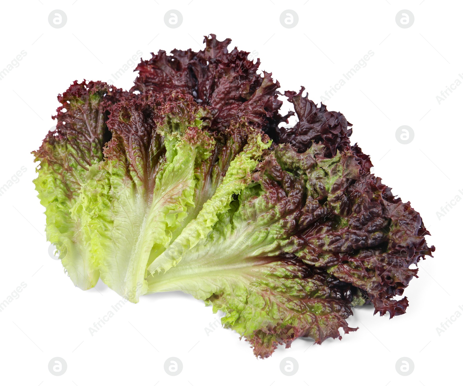 Photo of Leaves of fresh red coral lettuce isolated on white, top view