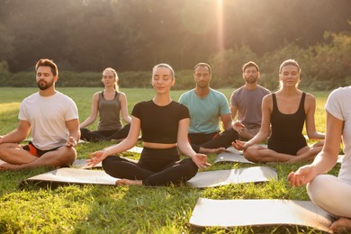 Group of people practicing yoga in park on sunny day. Lotus pose