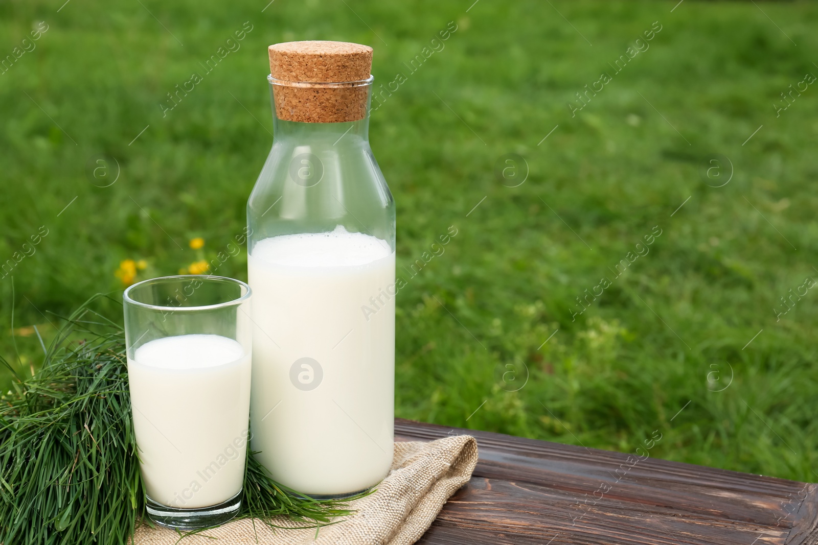 Photo of Tasty fresh milk and green grass on wooden table. Space for text