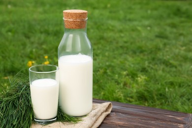 Photo of Tasty fresh milk and green grass on wooden table. Space for text