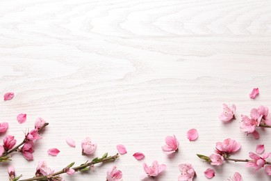 Beautiful sakura tree blossoms on white wooden background, flat lay. Space for text