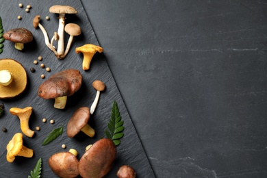 Photo of Different mushrooms, thyme and pepper on grey background, flat lay. Space for text