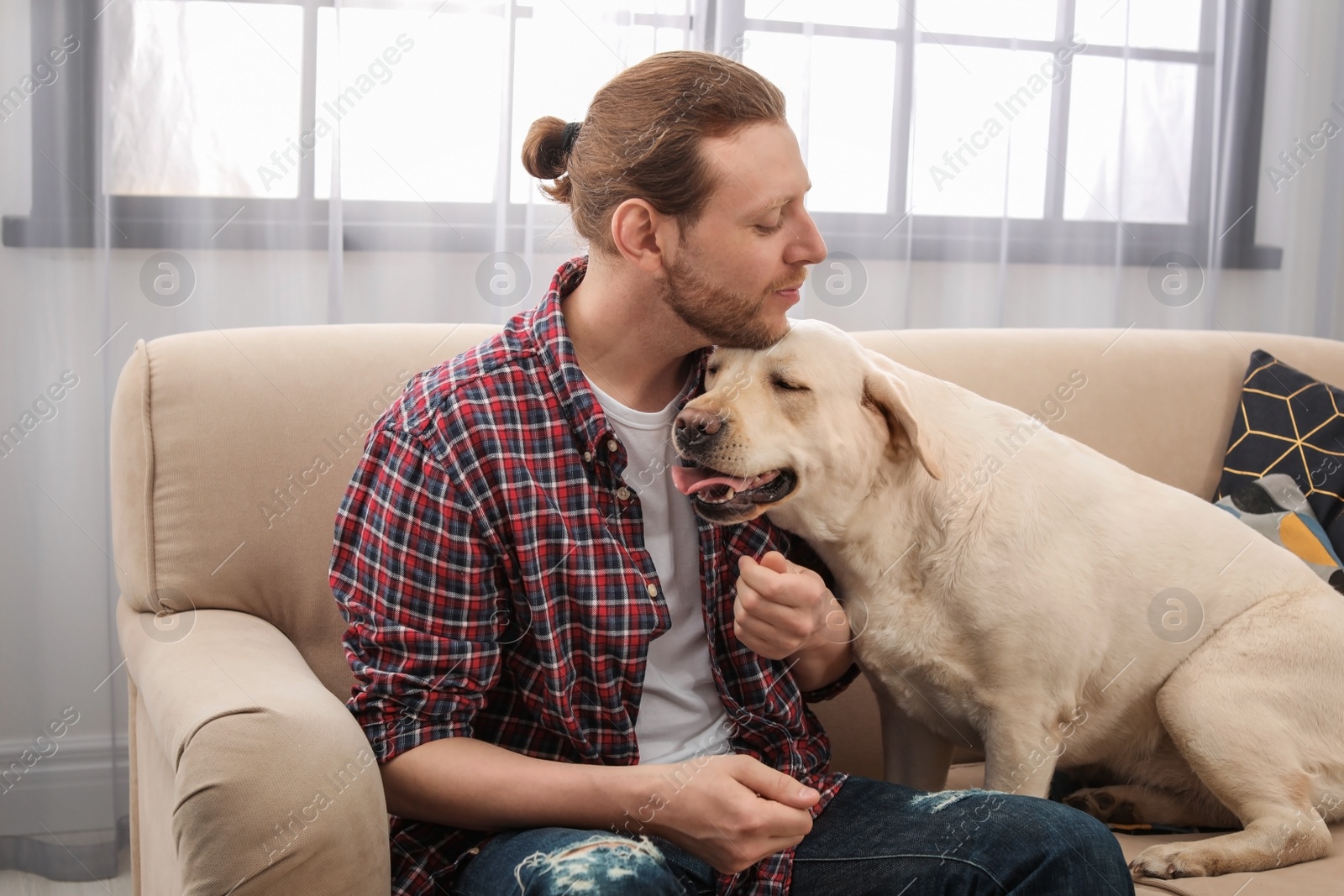 Photo of Adorable yellow labrador retriever with owner on couch indoors