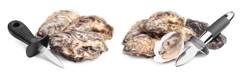 Image of Fresh raw oysters and knives on white background. Banner design