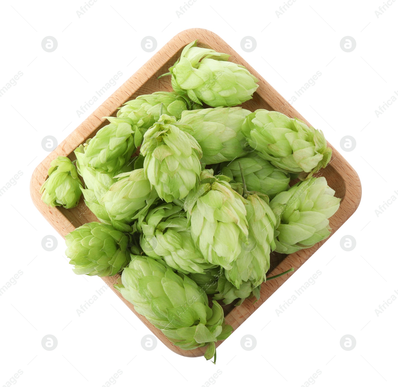 Photo of Fresh green hops on white background, top view