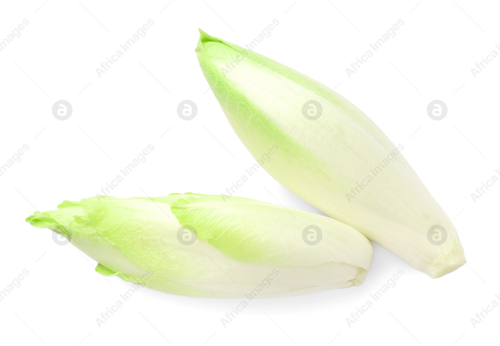 Photo of Raw ripe chicories on white background, top view