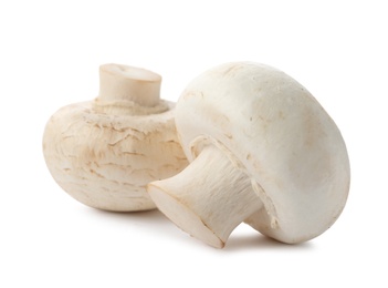 Fresh raw champignon mushrooms on white background