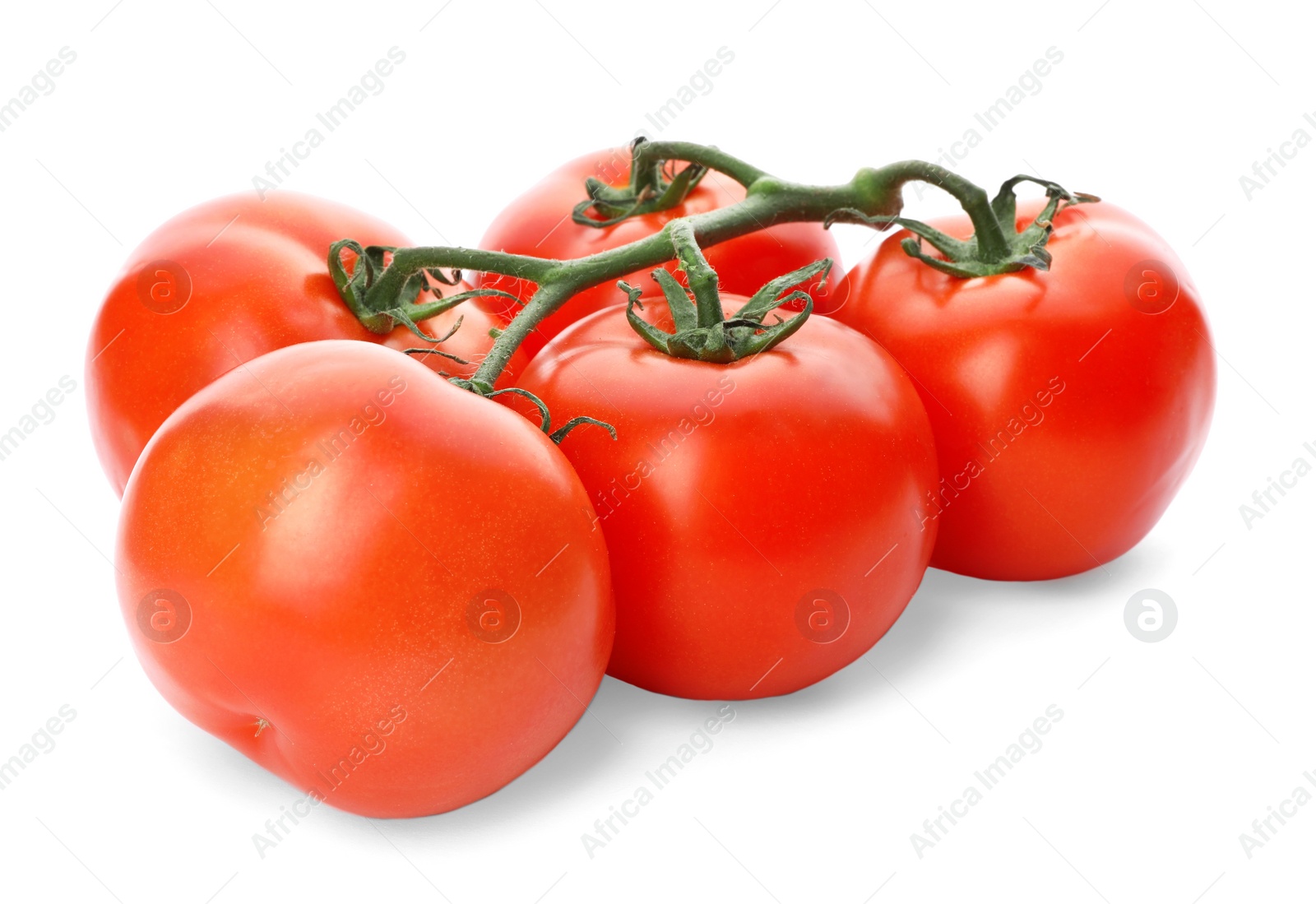 Photo of Branch of fresh ripe red tomatoes isolated on white