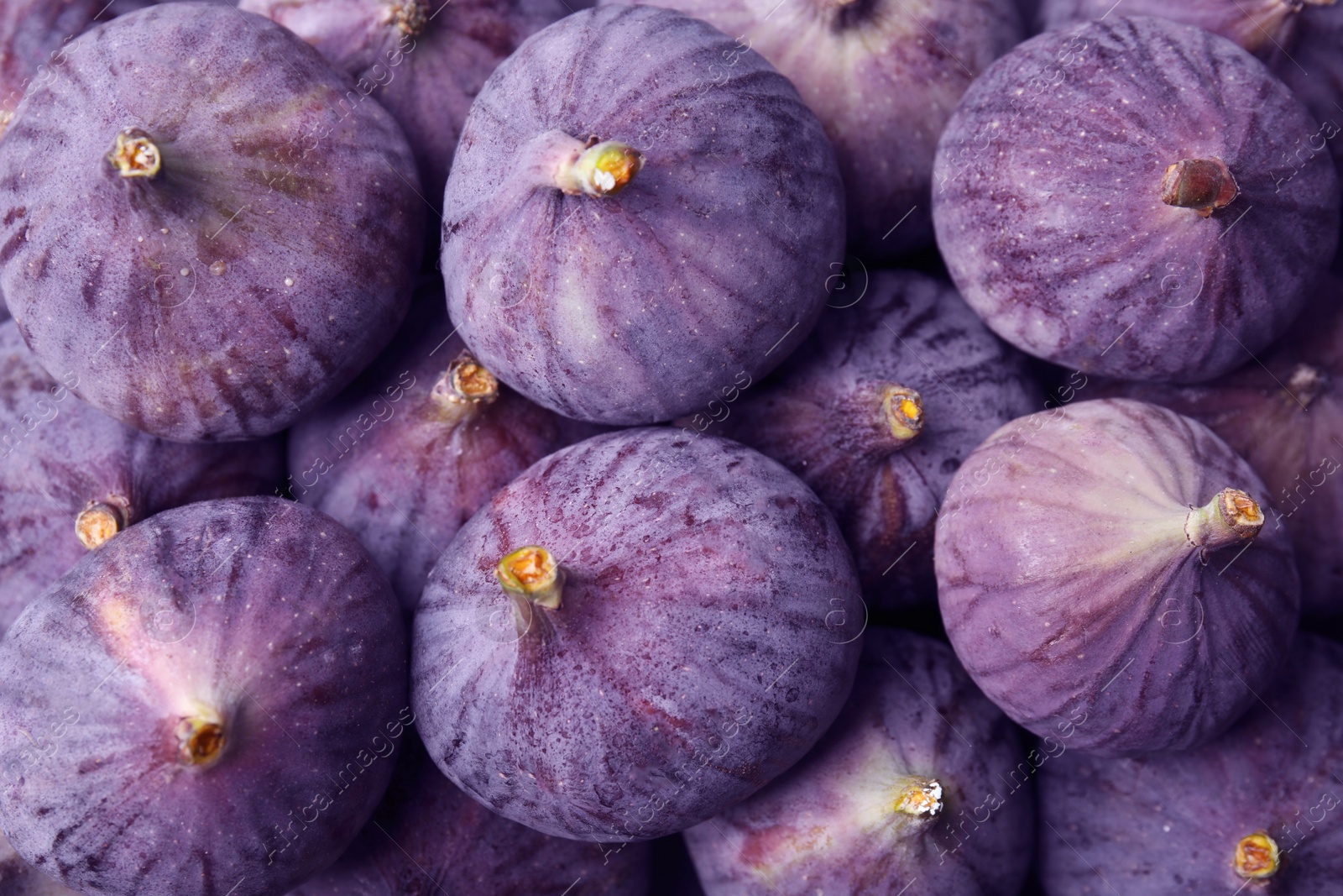 Photo of Closeup of fresh ripe figs as background, top view