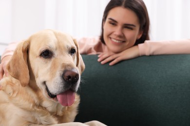 Photo of Cute Labrador Retriever with happy woman at home, focus on dog