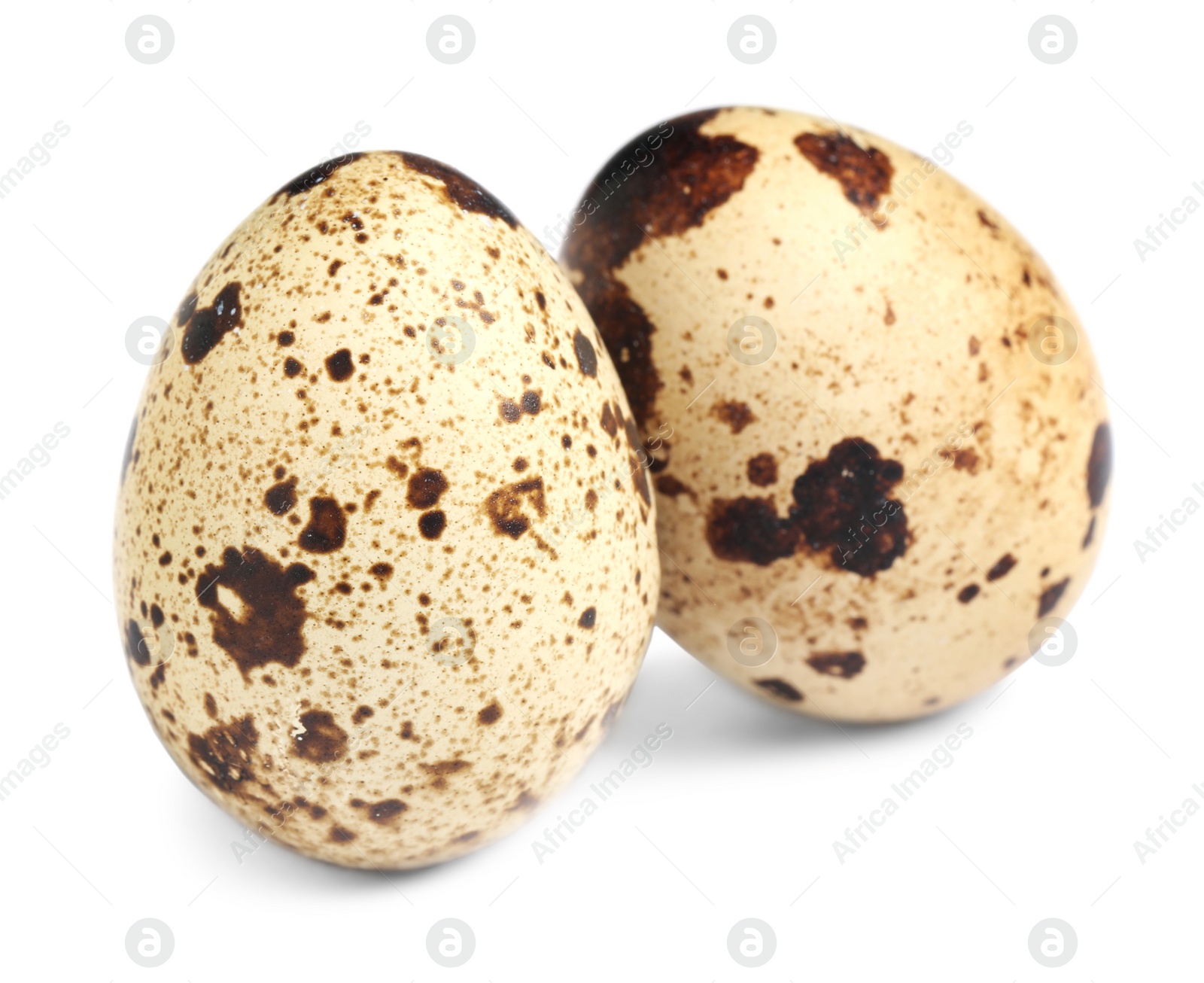 Photo of Two beautiful quail eggs on white background