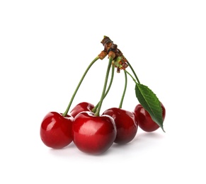 Sweet red cherries with leaf on white background