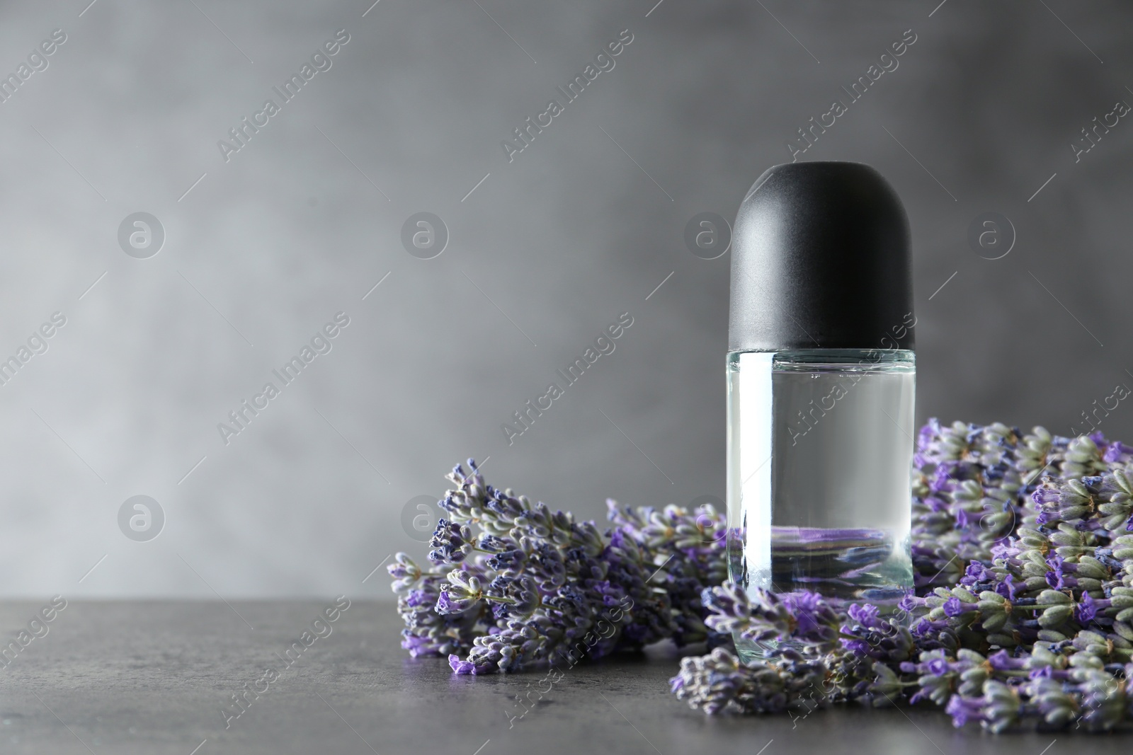 Photo of Deodorant and lavender flowers on grey stone table. Space for text