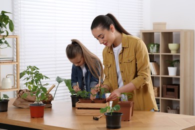 Photo of Mother and daughter planting seedlings into pots together at wooden table in room