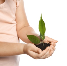 Photo of Child holding soil with green plant in hands on white background