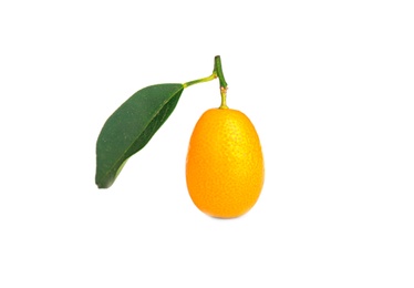 Fresh ripe kumquat with leaf isolated on white. Exotic fruit