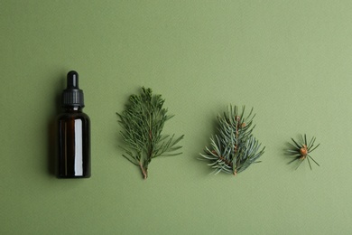 Photo of Little bottle with essential oil and pine branches on color background, flat lay