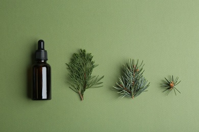 Little bottle with essential oil and pine branches on color background, flat lay