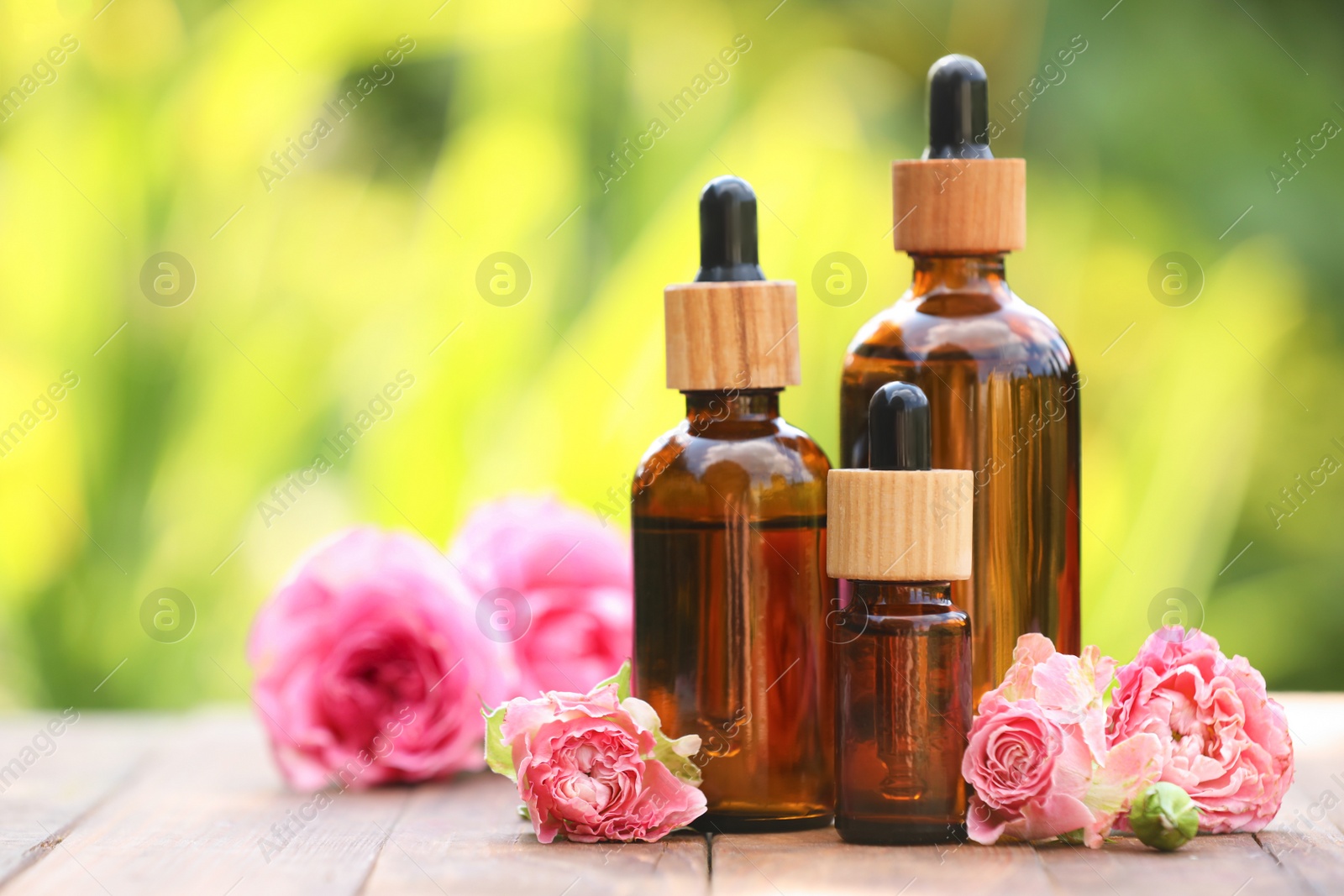 Photo of Bottles of rose essential oil and flowers on wooden table outdoors, space for text