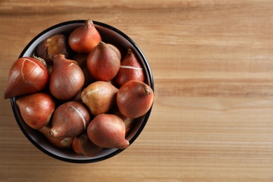 Bowl with tulip bulbs on wooden table, top view. Space for text