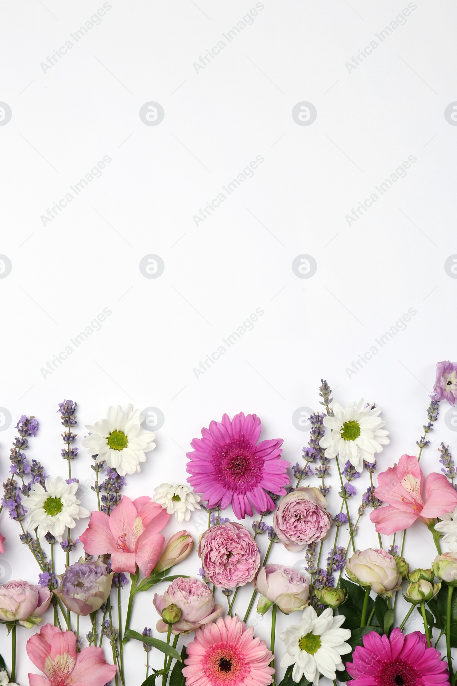 Photo of Flat lay composition with different beautiful flowers on white background, space for text