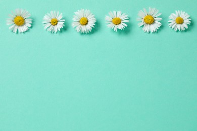Photo of Beautiful tender daisy flowers on turquoise background, flat lay. Space for text