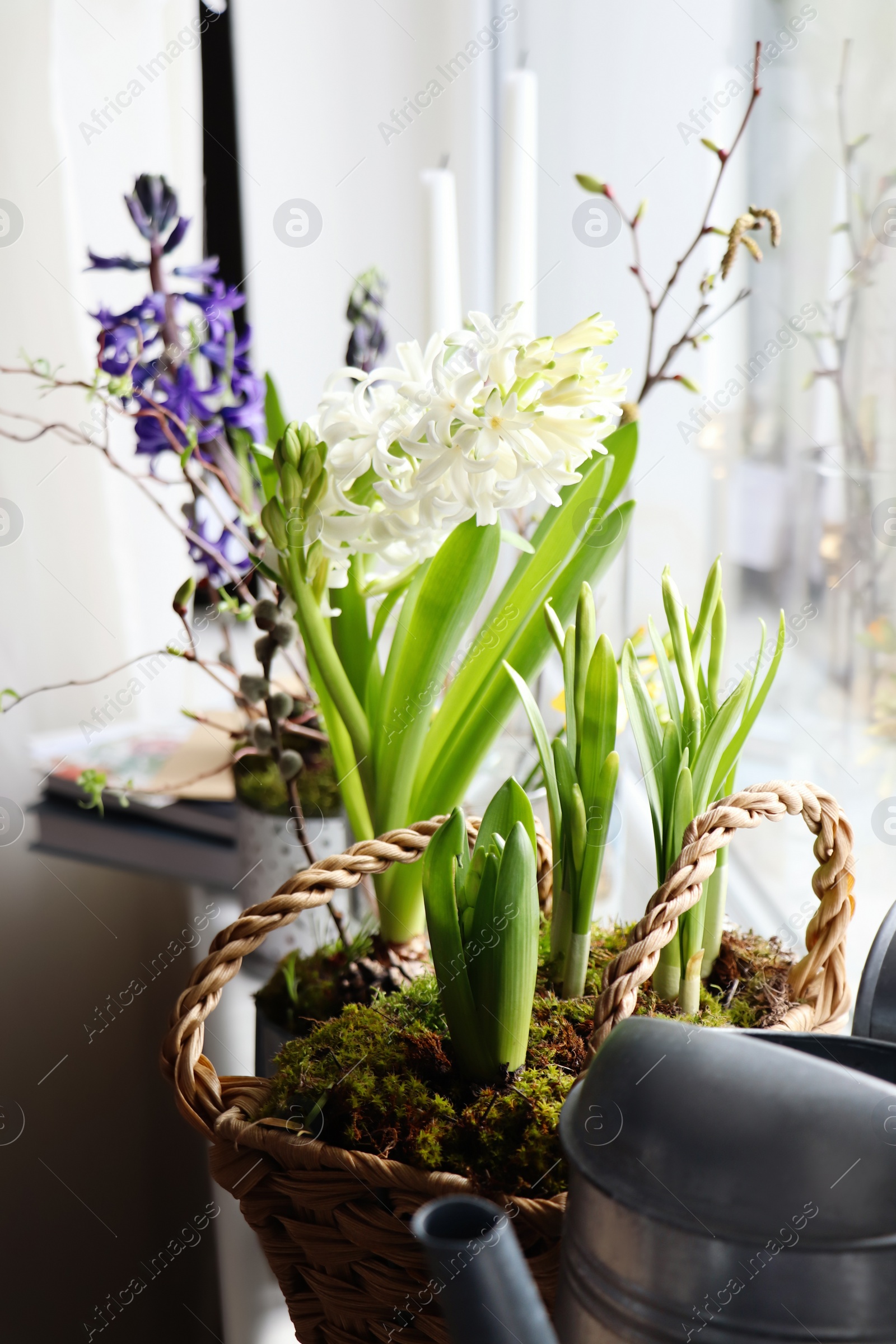 Photo of Beautiful spring plants and decoration on window sill