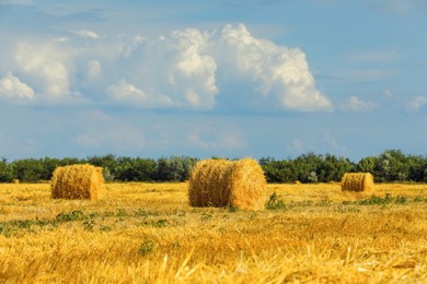 Photo of Beautiful view of agricultural field with hay bales