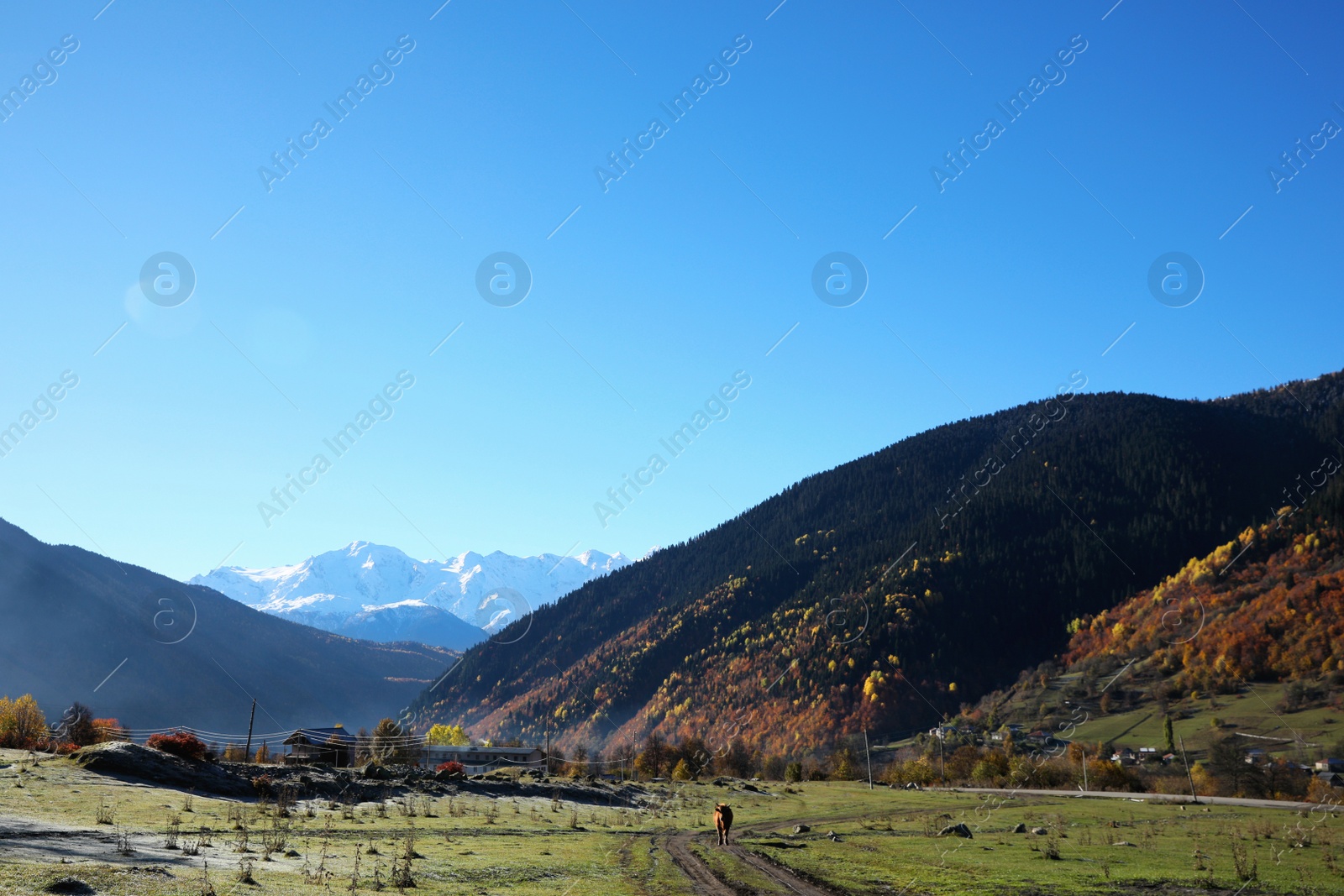 Photo of Picturesque view of beautiful high mountains under blue sky on sunny day