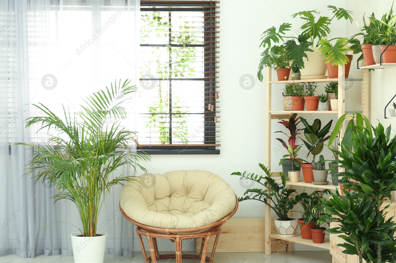 Photo of Stylish room interior with different home plants