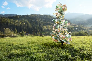 Money tree on green pasture in mountains. Concept of financial growth and passive income