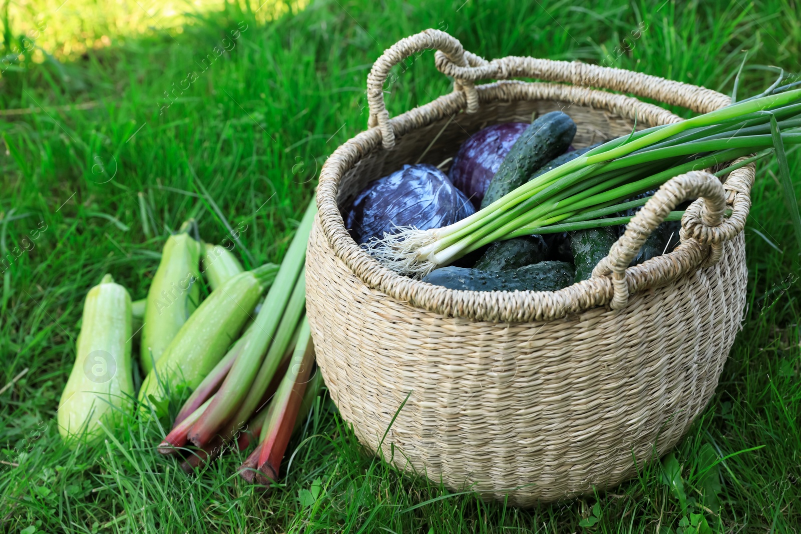 Photo of Tasty vegetables with wicker basket on green grass