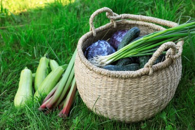 Photo of Tasty vegetables with wicker basket on green grass
