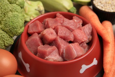 Photo of Raw meat in bowl and healthy products for pet, closeup