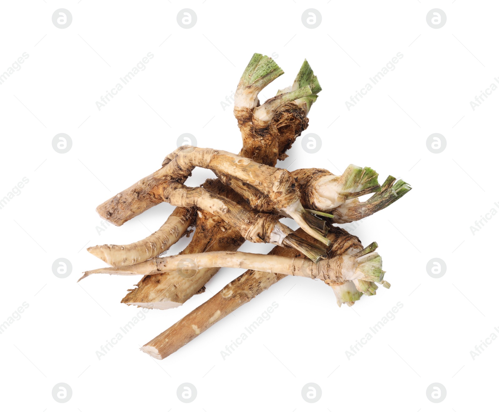 Photo of Pile of fresh horseradish roots isolated on white, top view