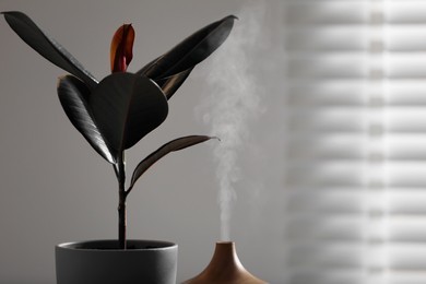 Photo of Air humidifier near beautiful houseplant indoors. Space for text