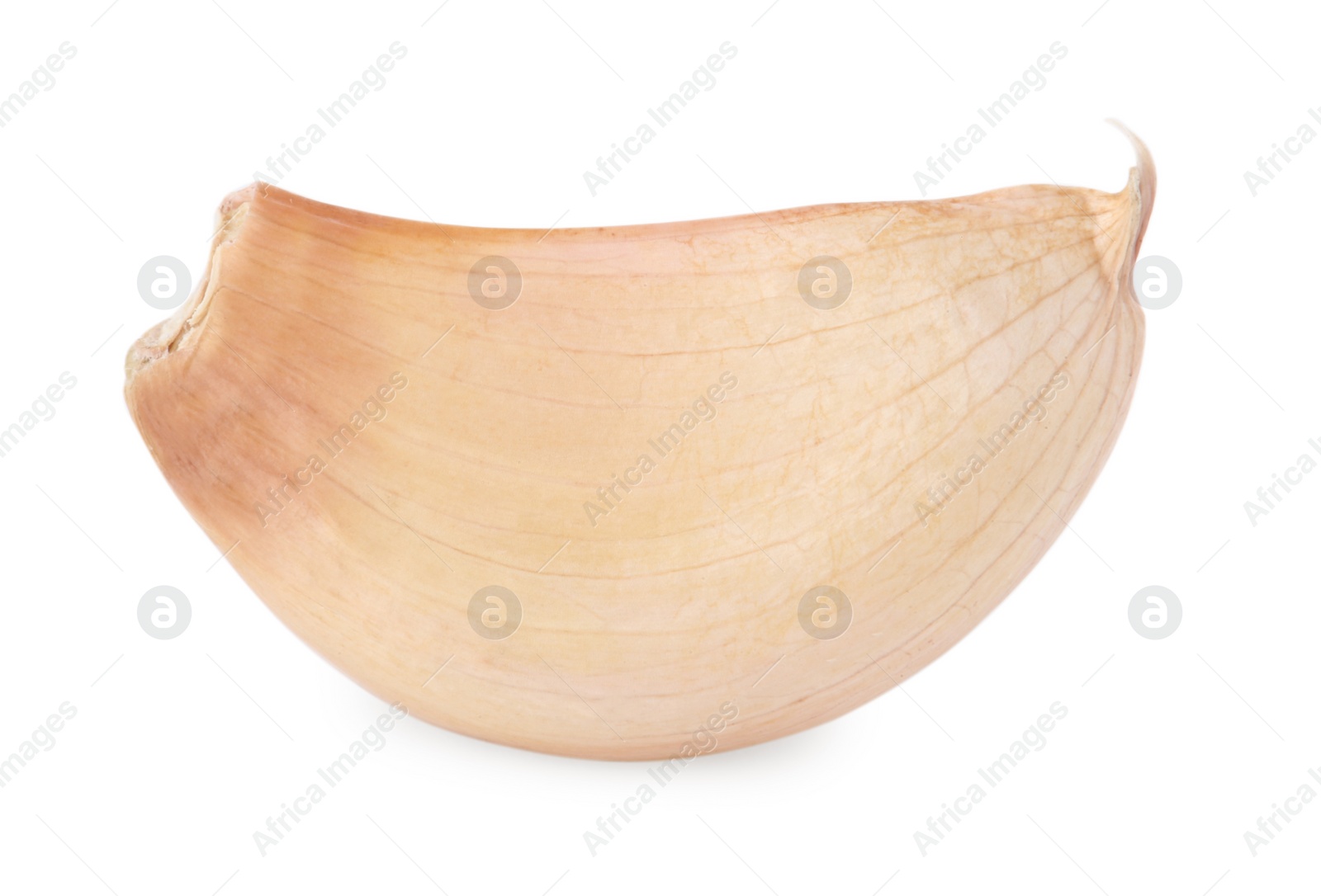 Photo of One clove of garlic isolated on white