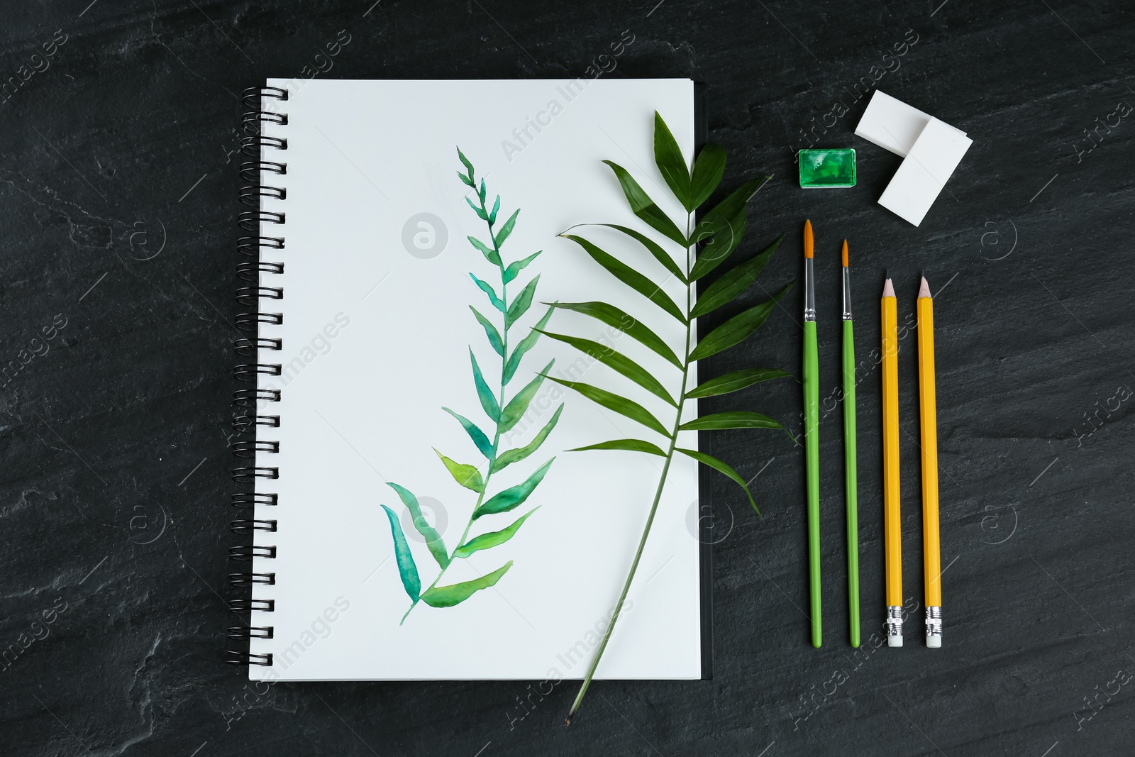 Photo of Painting of green twig in sketchbook and art supplies on black table, flat lay