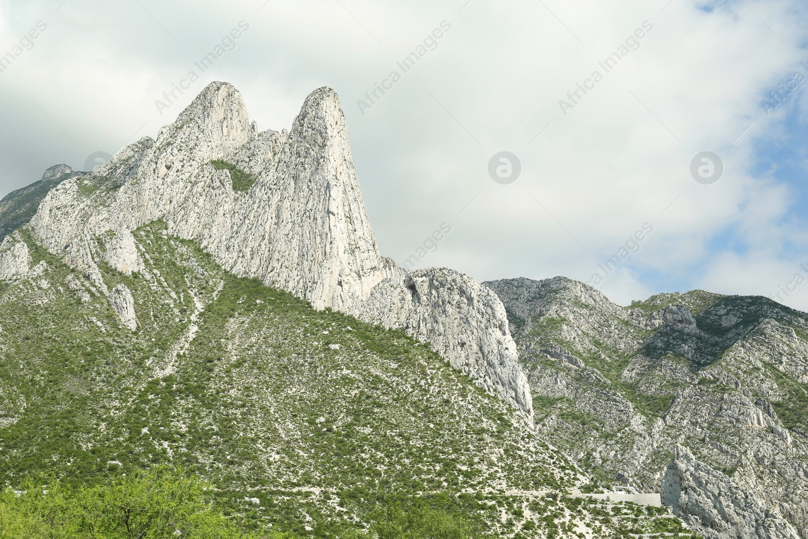 Photo of Picturesque view of beautiful mountains and plants under cloudy sky