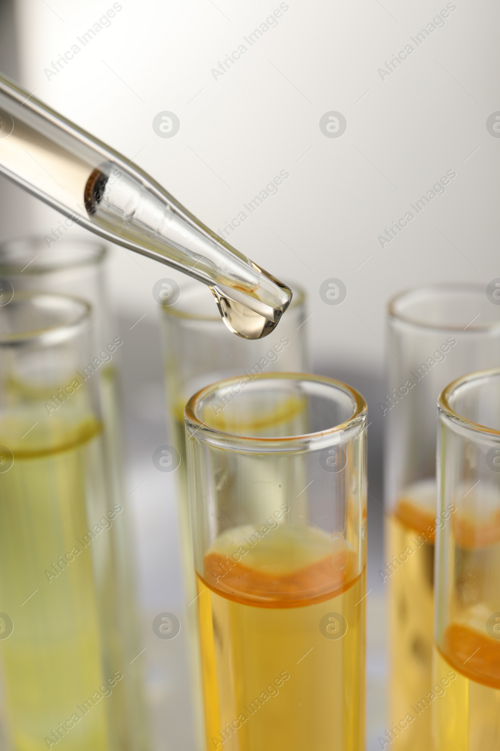 Photo of Dropping urine sample for analysis into tube, closeup