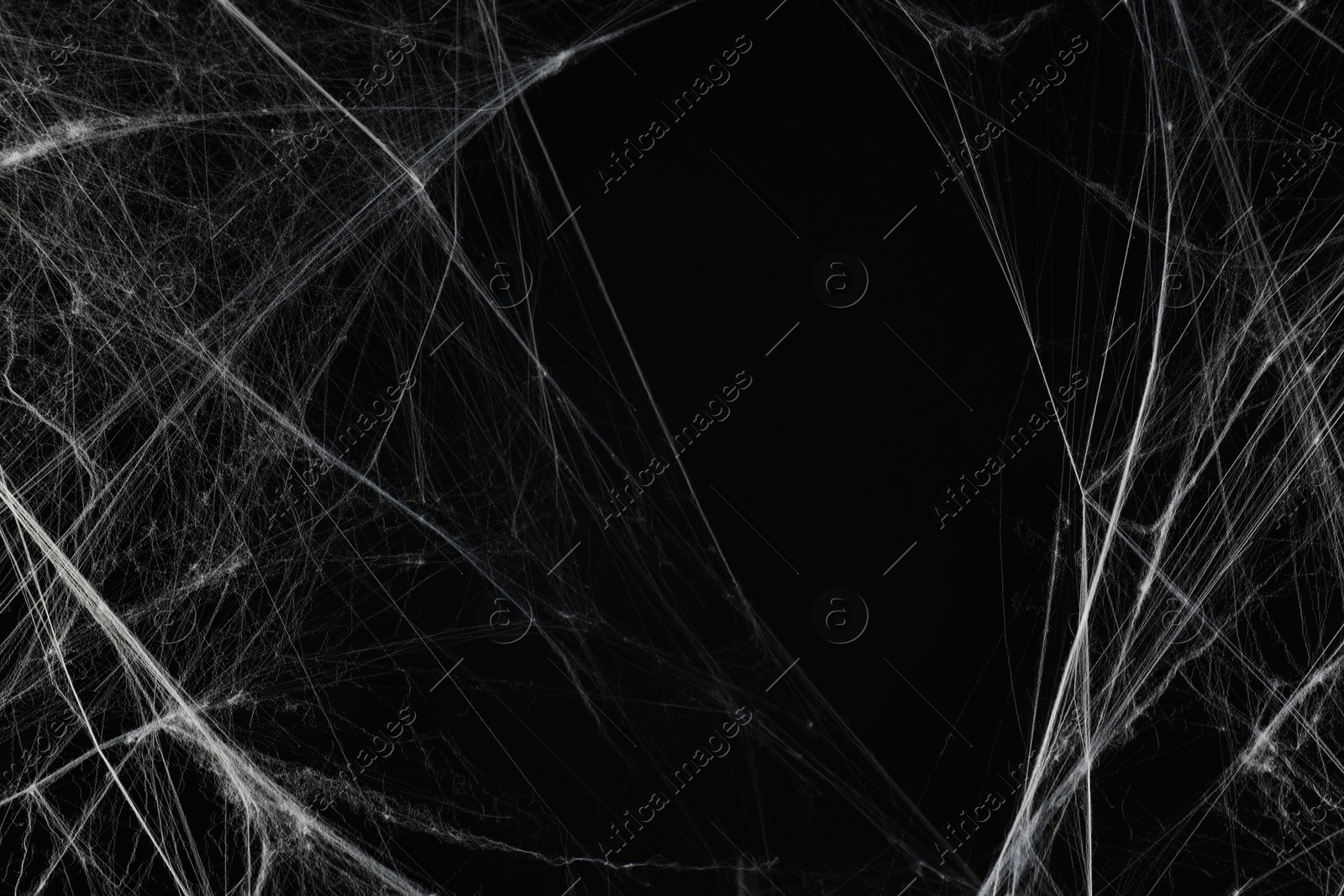 Photo of Creepy white spider web on black background