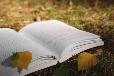 Photo of Open book and leaves on grass outdoors, closeup